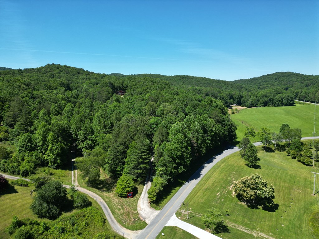 32 Ivey Ridge Property Photo 46