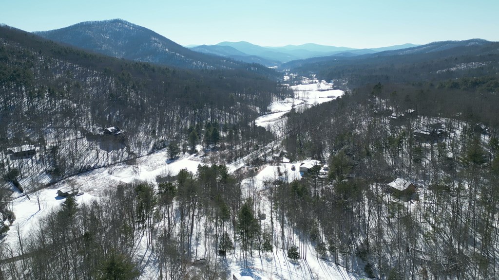32 Ivey Ridge Property Photo 50