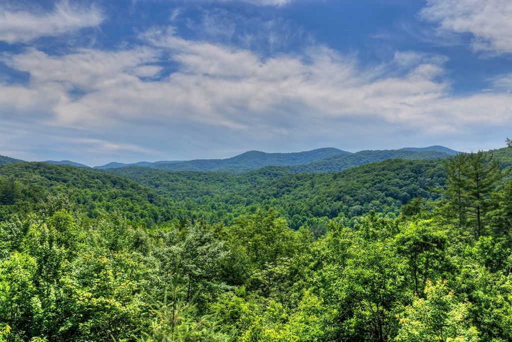 277 Hickory Nut Trail Property Photo 12