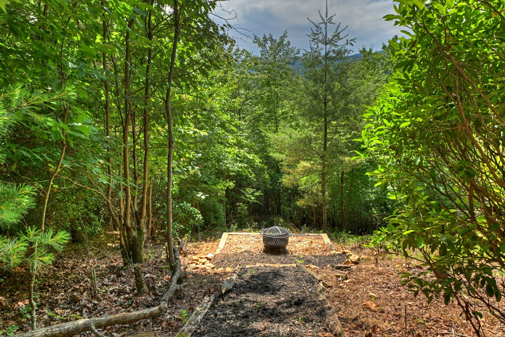 277 Hickory Nut Trail Property Photo 24