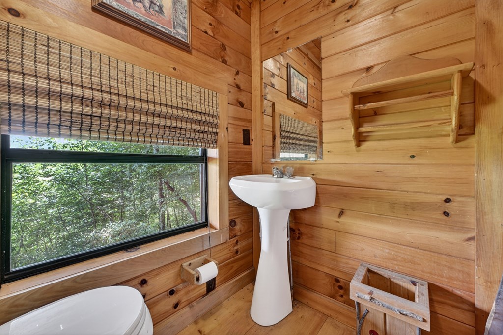 277 Hickory Nut Trail Property Photo 46