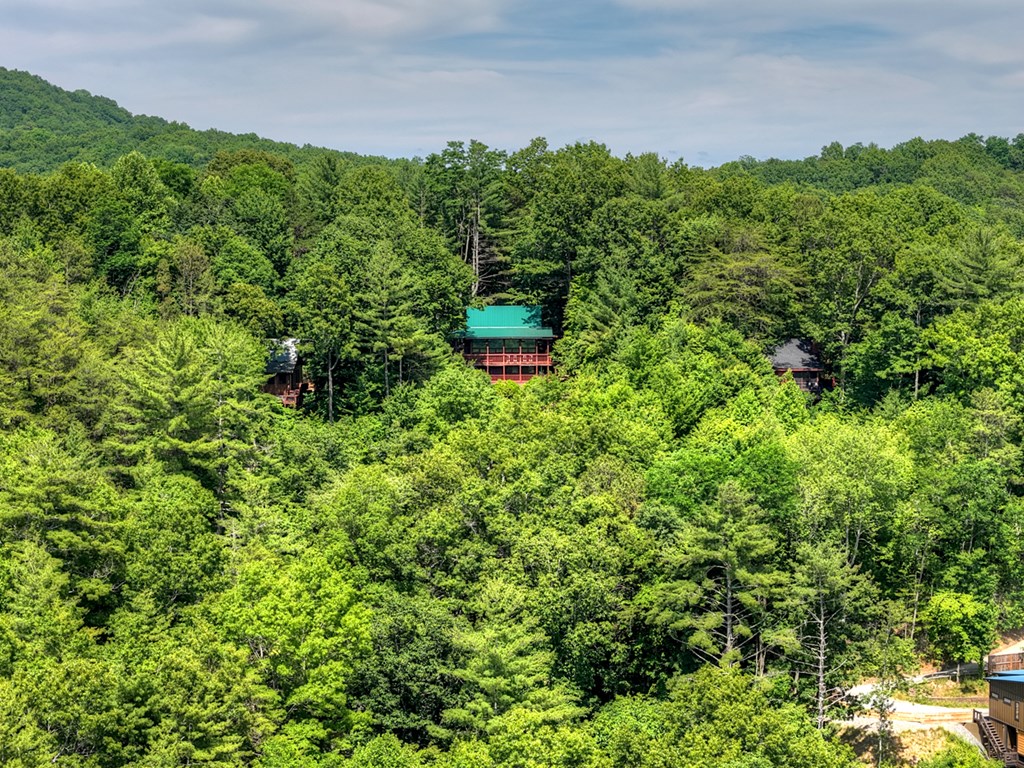 277 Hickory Nut Trail Property Photo 47