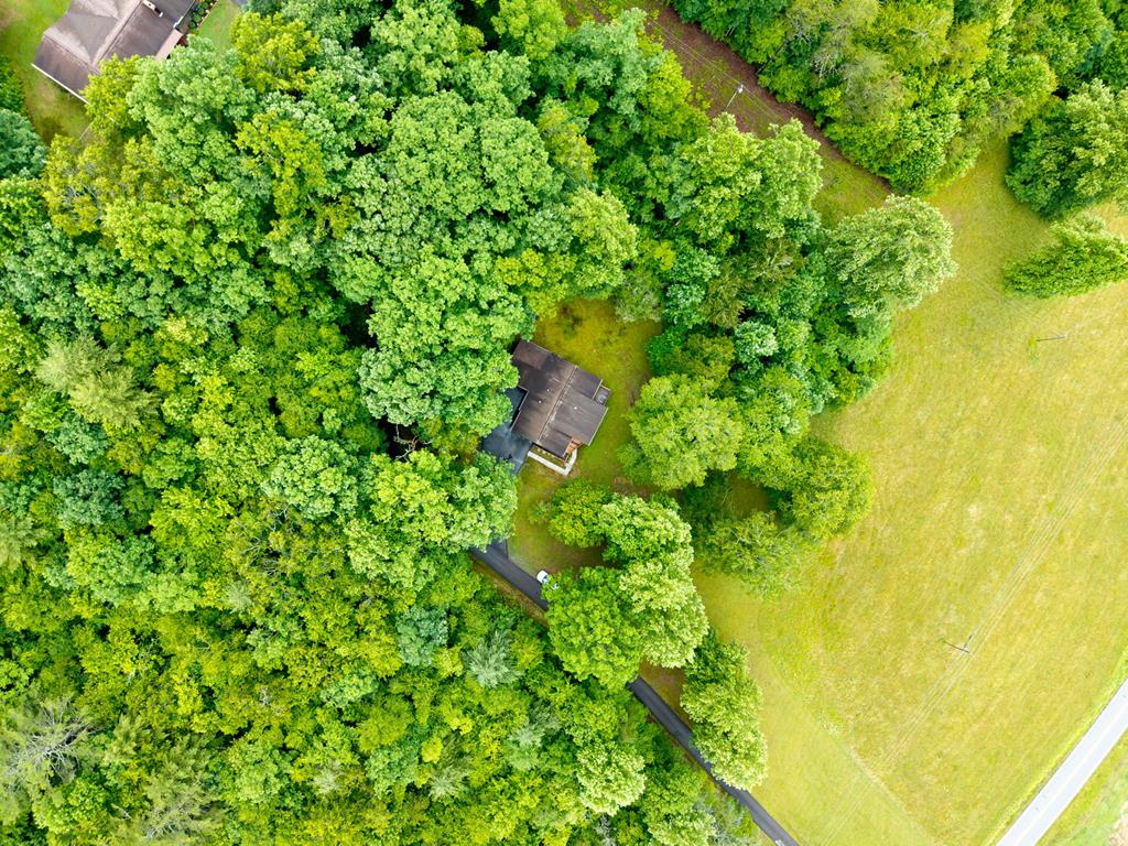 3318 Old Hwy 64e Property Photo 27