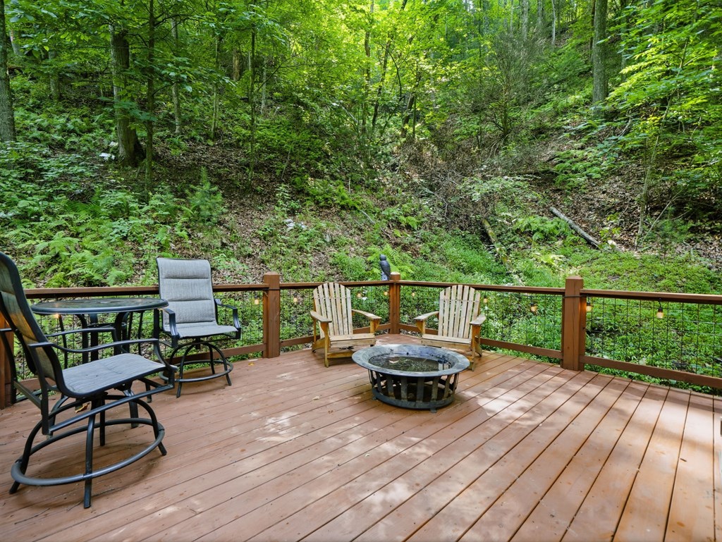 329 Laurel Ridge Drive Property Photo 30