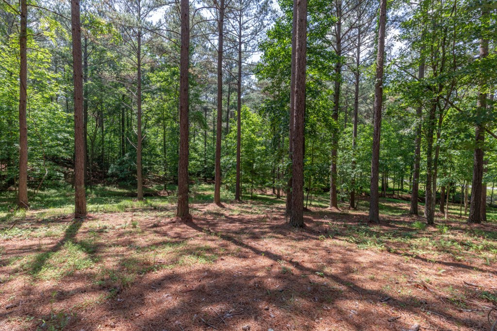 Lot 48 Thirteen Hundred Property Photo 9