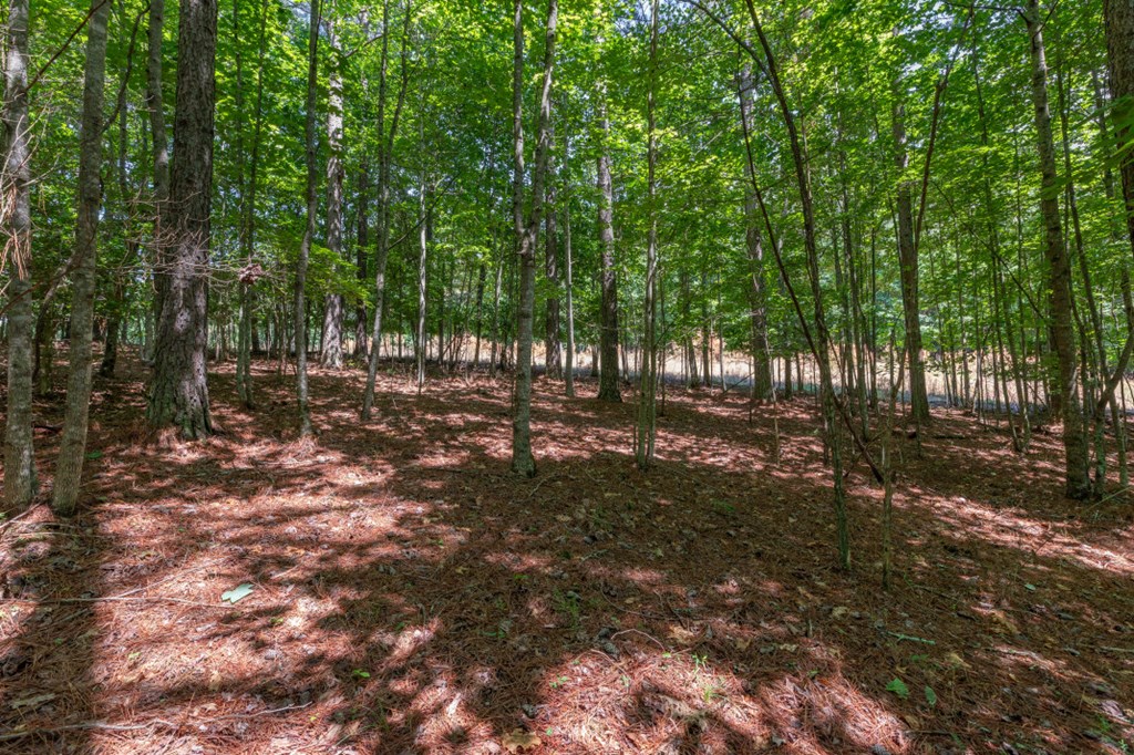 Lot 48 Thirteen Hundred Property Photo 10