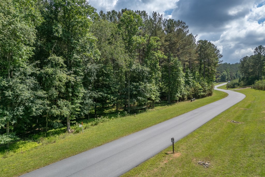 Lot 48 Thirteen Hundred Property Photo 15
