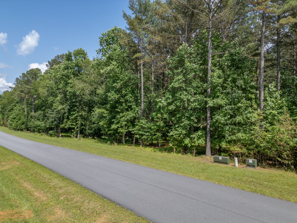 Lot 48 Thirteen Hundred Property Photo 16