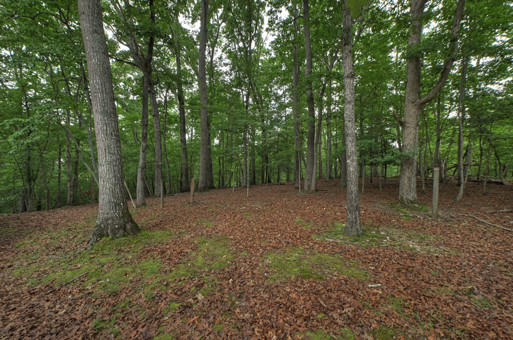 1076 Riverview Drive Property Photo 2