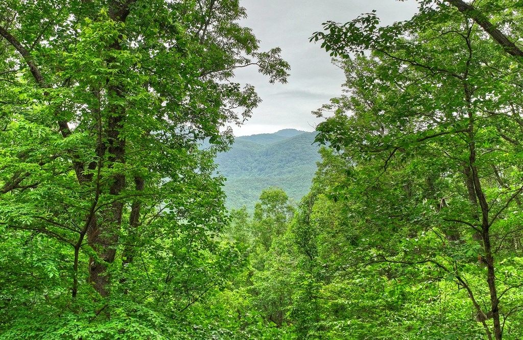 415 Walnut Mountain Road Property Photo 4