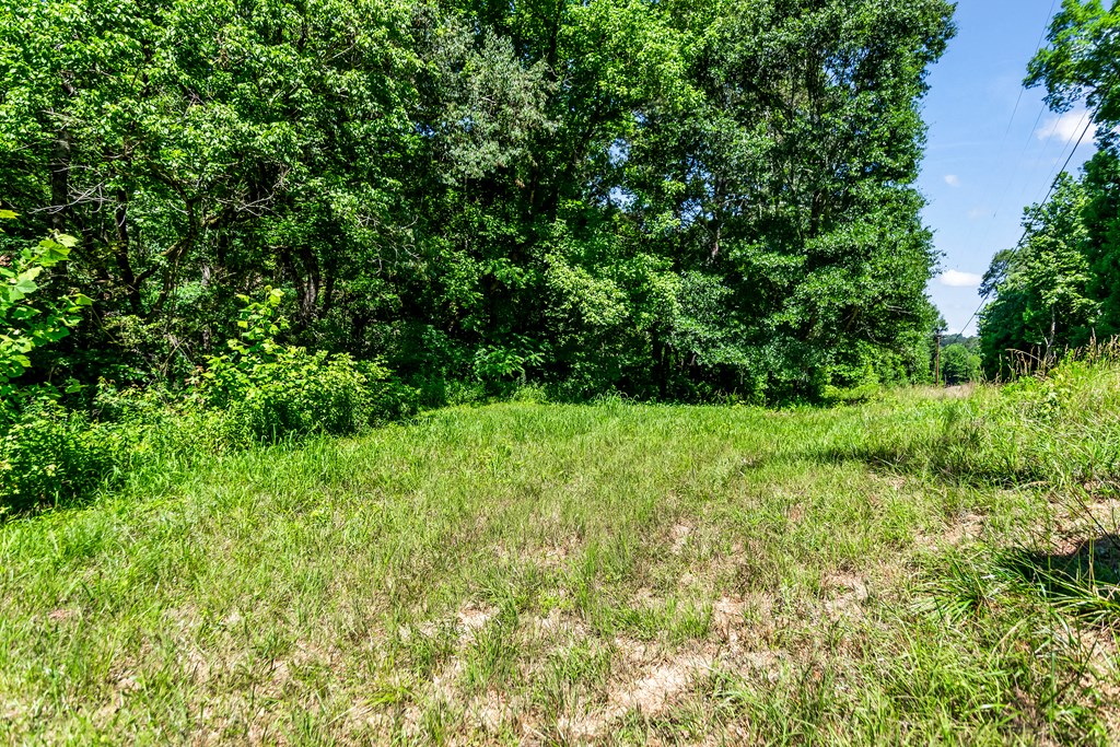 773 Fairview Road Property Photo 5
