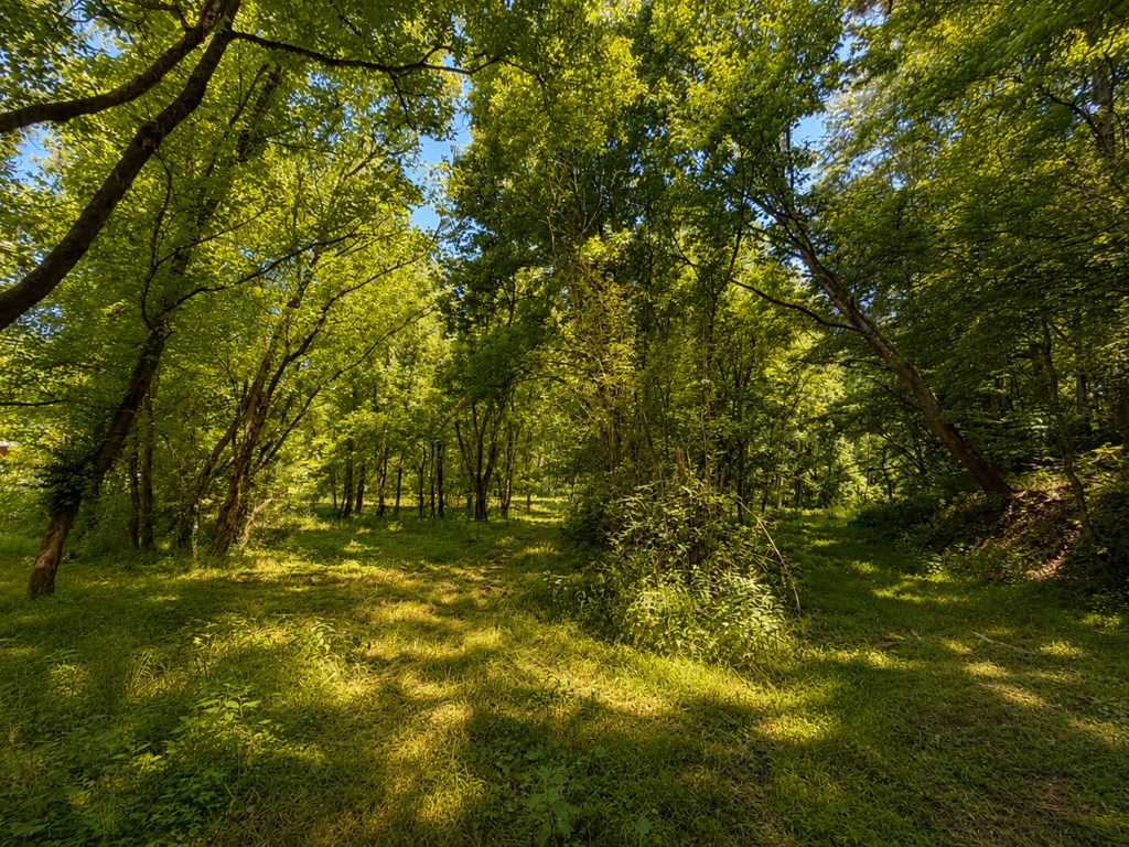 773 Fairview Road Property Photo 15