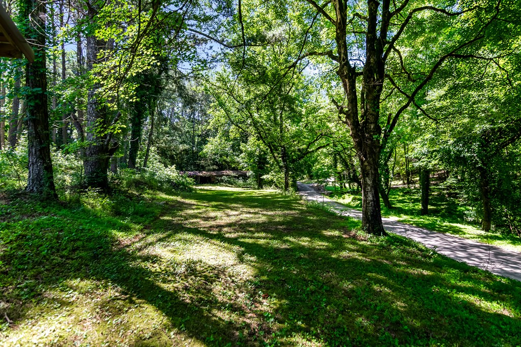 773 Fairview Road Property Photo 18