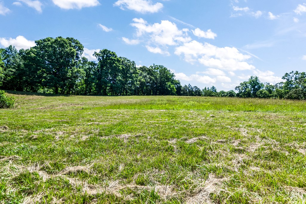 773 Fairview Road Property Photo 32