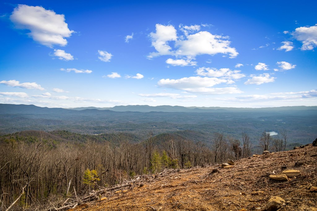 17 Pinhoti Pass Property Photo 12