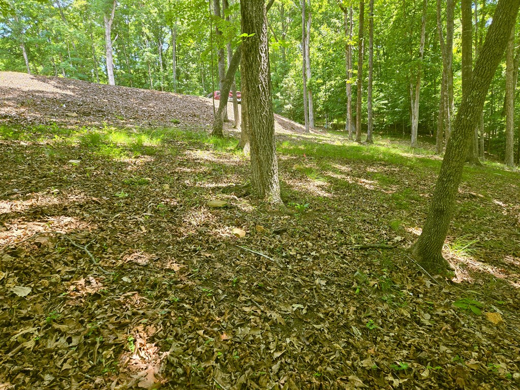 Tr 2 & 3 Settlement Road Property Photo 3