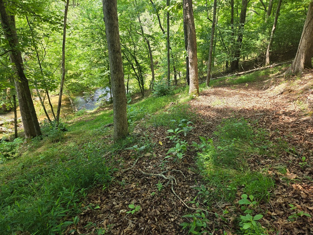 Tr 2 & 3 Settlement Road Property Photo 4