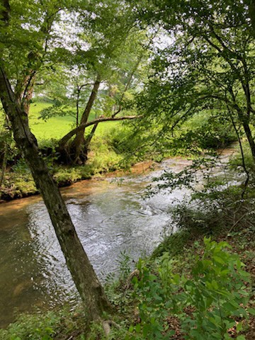 Tr 2 & 3 Settlement Road Property Photo 5