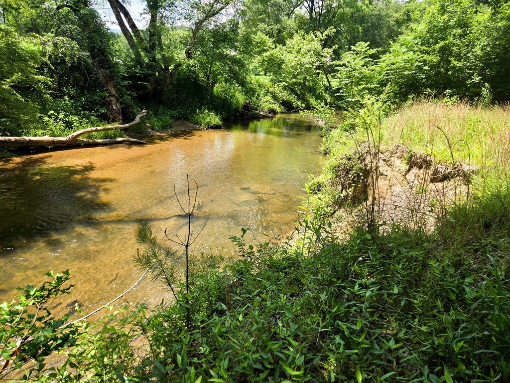 Tr 2 & 3 Settlement Road Property Photo 6