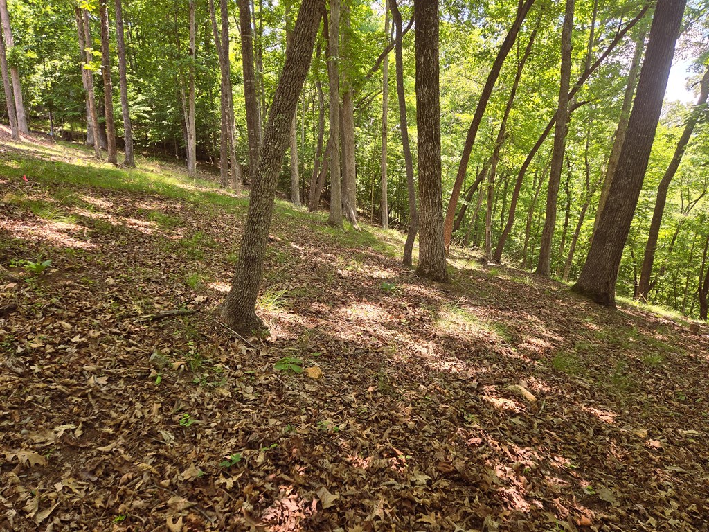 Tr 2 & 3 Settlement Road Property Photo 7