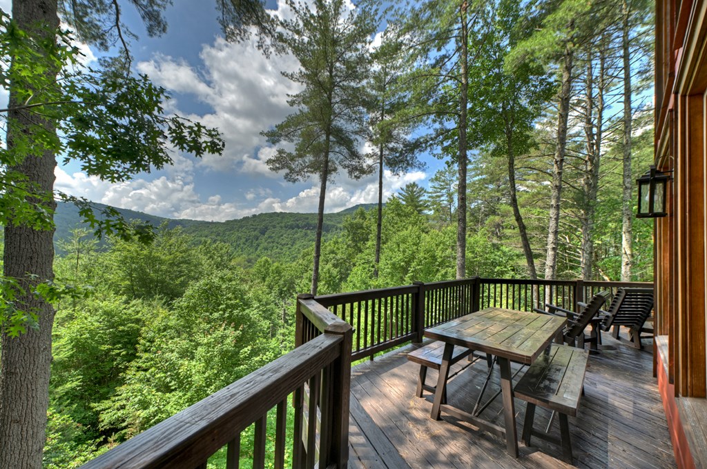 255 Indian Ridge Road Property Photo 29