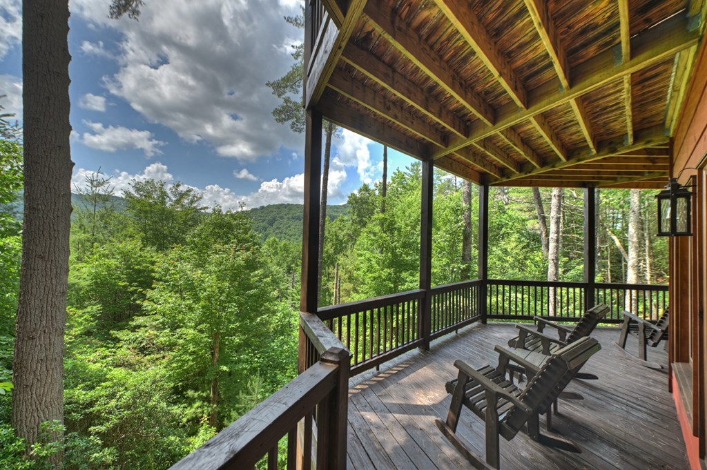 255 Indian Ridge Road Property Photo 50