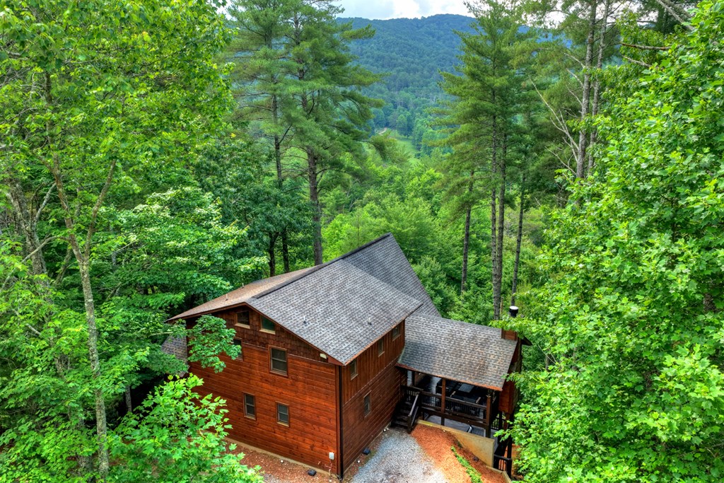 255 Indian Ridge Road Property Photo 64