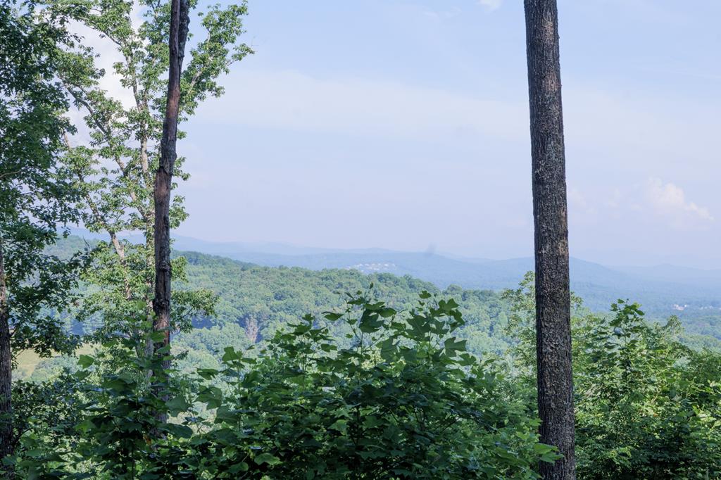 90 Winding Ridge Property Photo 1