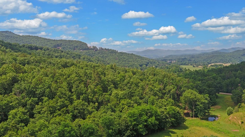 215 Black Bear Ridge Road Property Photo 37