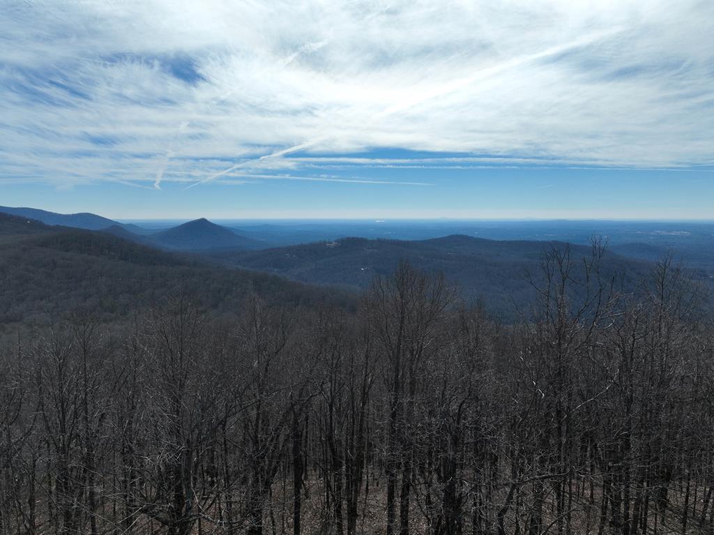 256 Blood Root Trail Property Photo 1