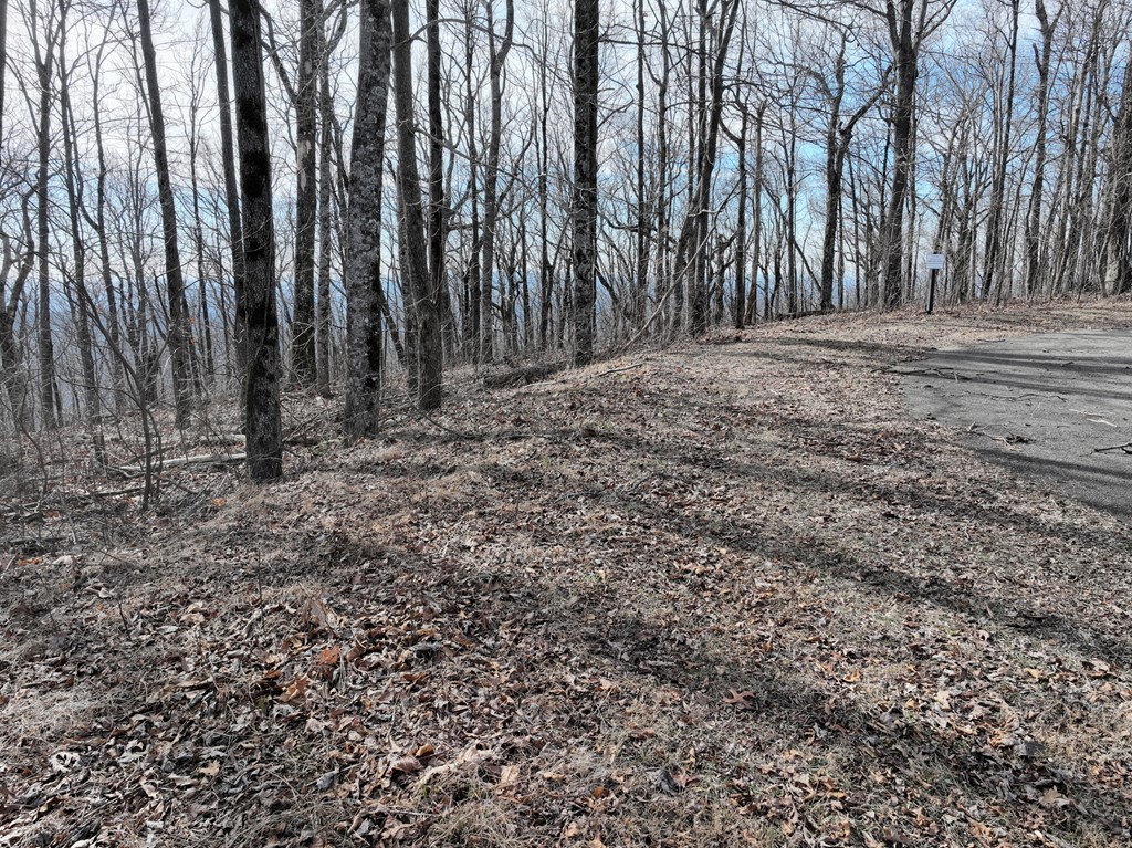 256 Blood Root Trail Property Photo 2