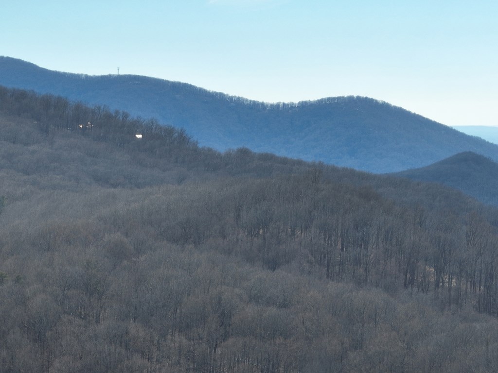256 Blood Root Trail Property Photo 7