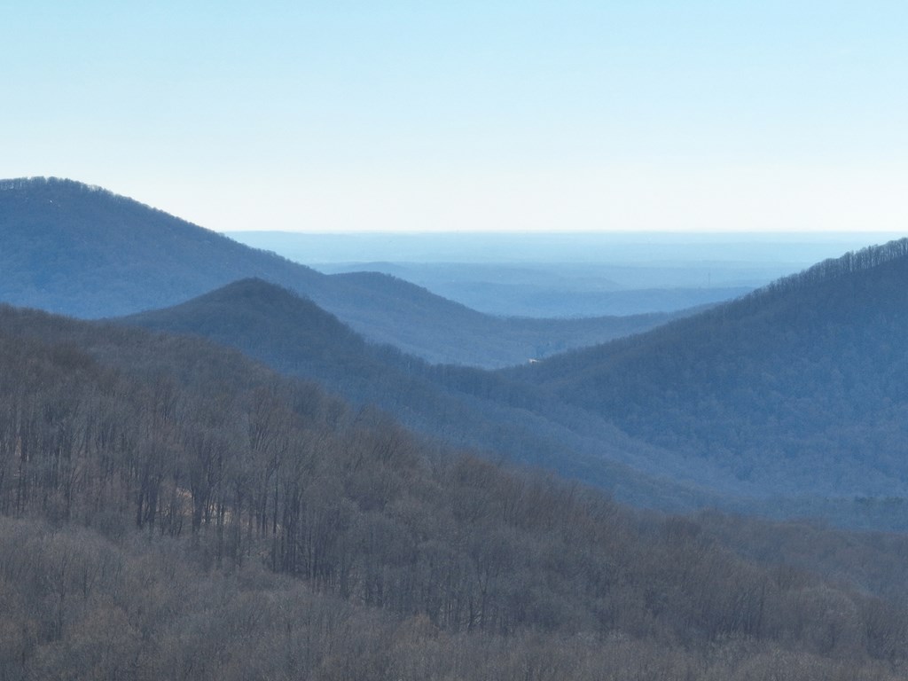 256 Blood Root Trail Property Photo 8