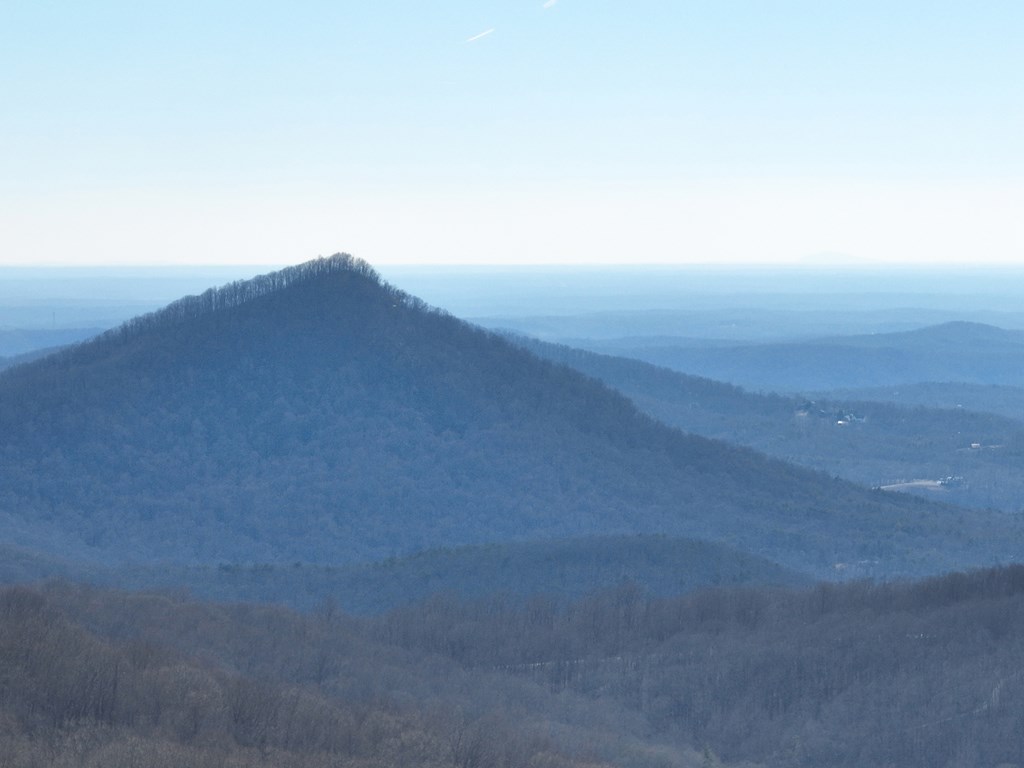 256 Blood Root Trail Property Photo 9