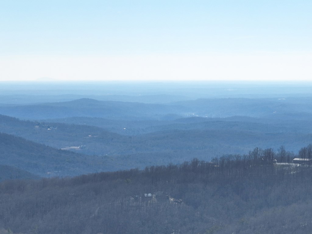 256 Blood Root Trail Property Photo 10