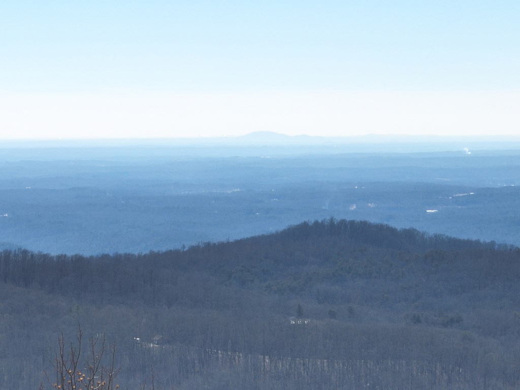 256 Blood Root Trail Property Photo 11