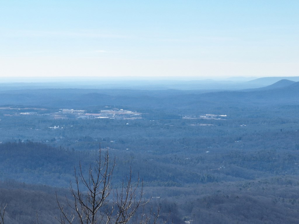 256 Blood Root Trail Property Photo 12