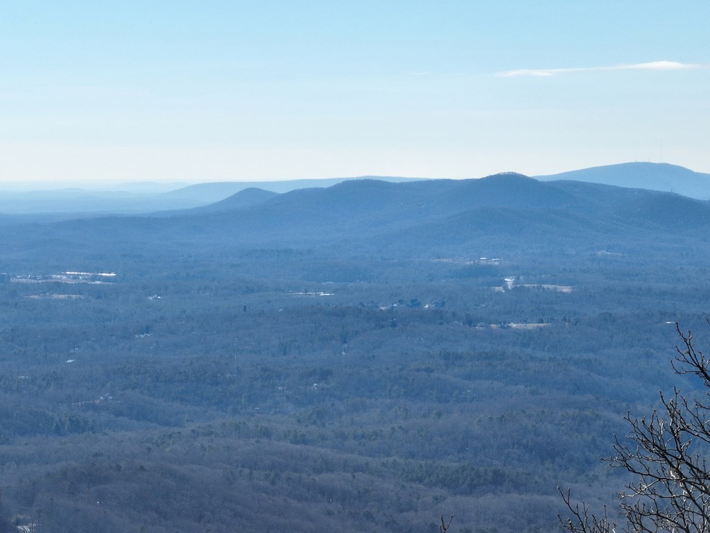 256 Blood Root Trail Property Photo 13