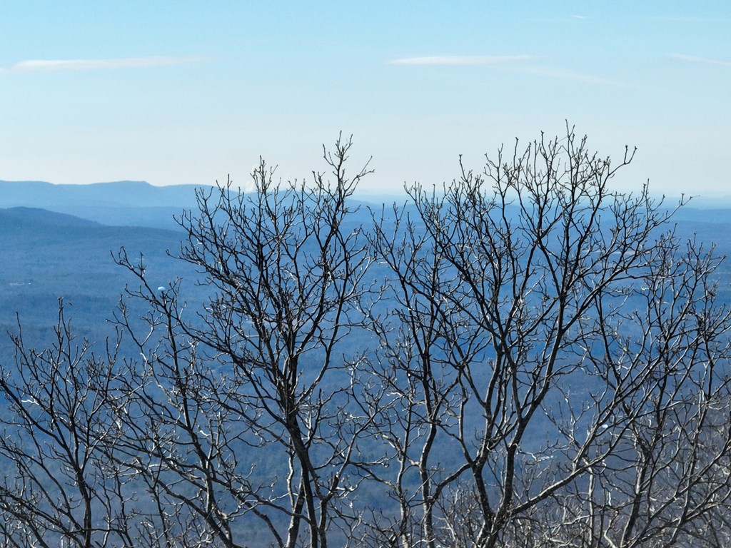 256 Blood Root Trail Property Photo 14