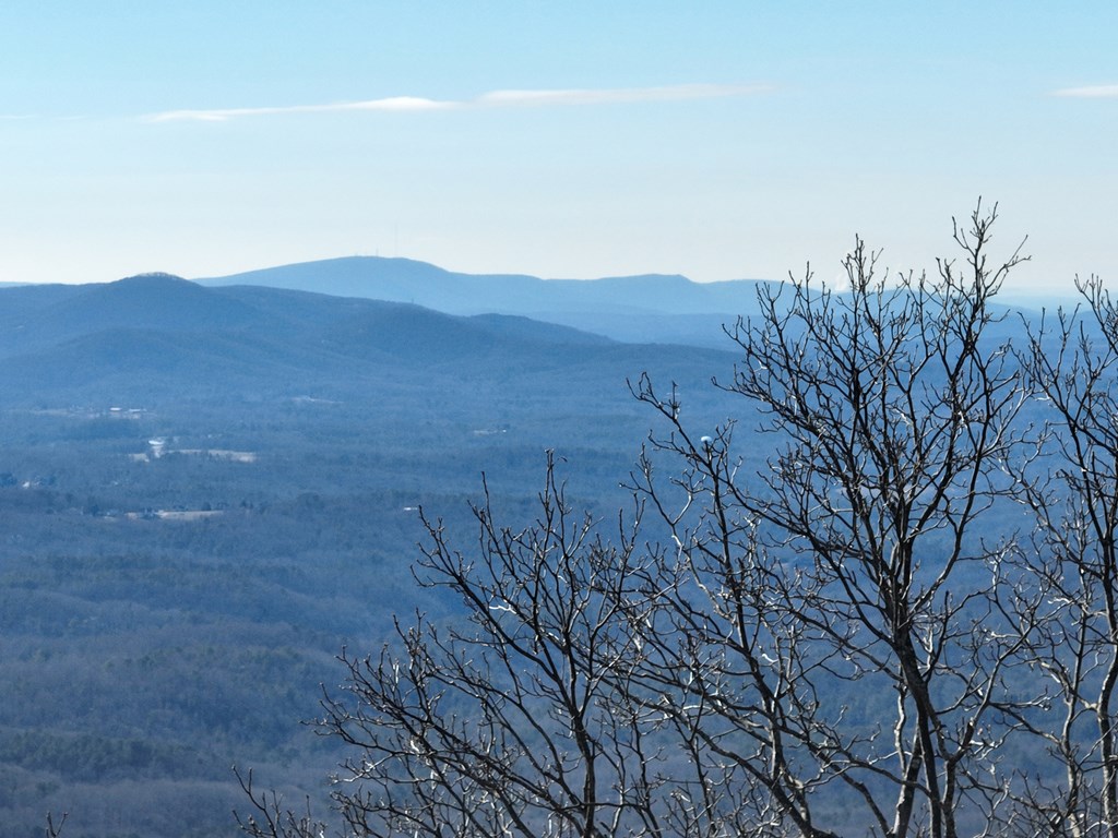 256 Blood Root Trail Property Photo 15
