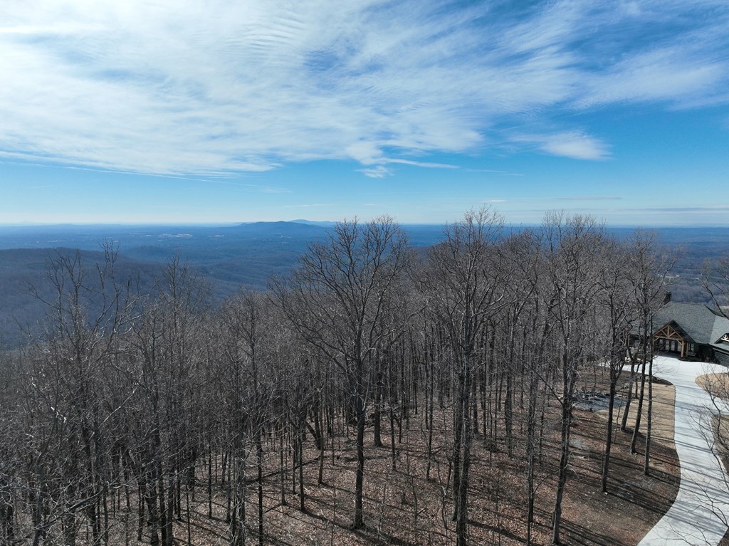256 Blood Root Trail Property Photo 22
