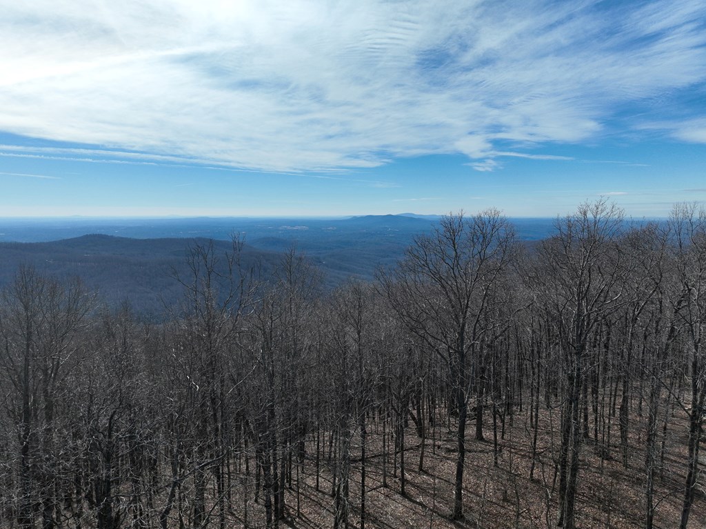 256 Blood Root Trail Property Photo 23