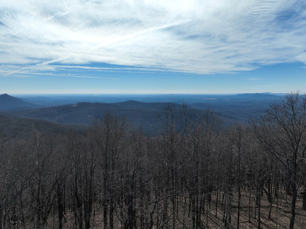 256 Blood Root Trail Property Photo 24