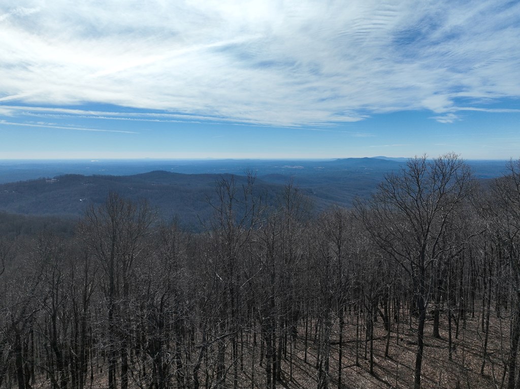 256 Blood Root Trail Property Photo 26