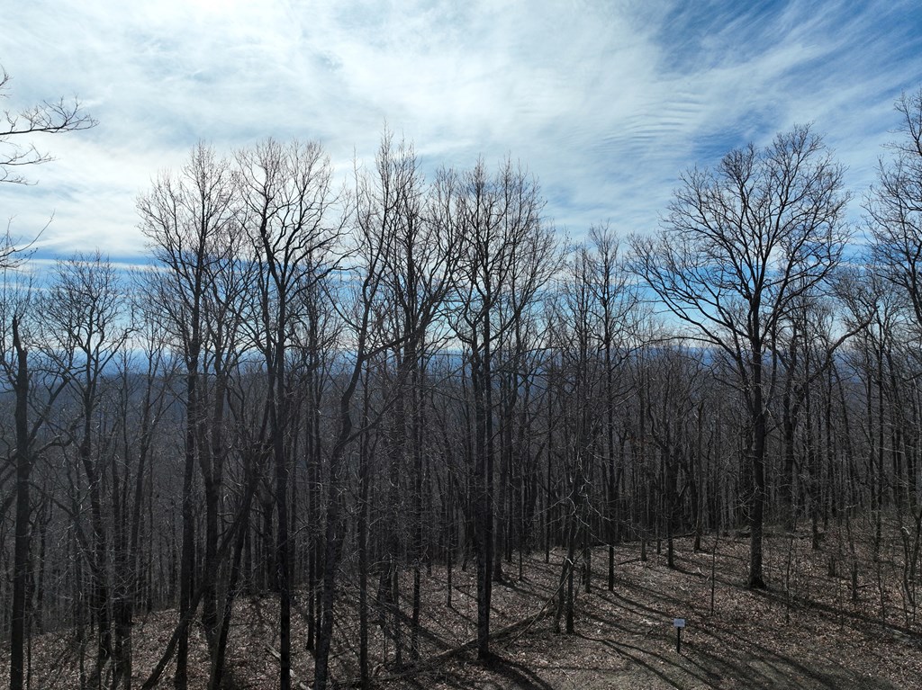 256 Blood Root Trail Property Photo 27