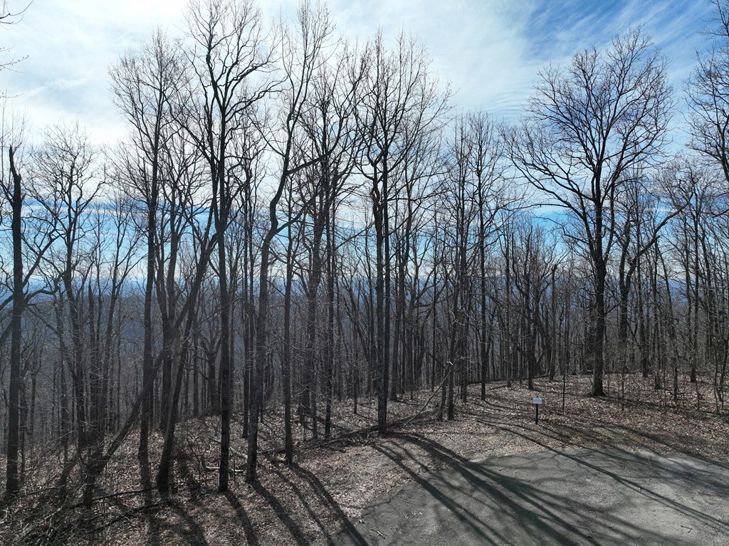 256 Blood Root Trail Property Photo 28