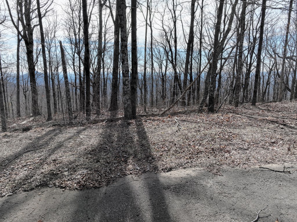 256 Blood Root Trail Property Photo 29