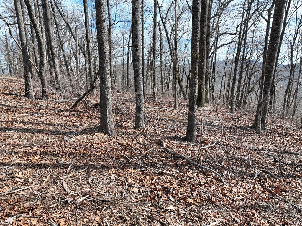 256 Blood Root Trail Property Photo 30