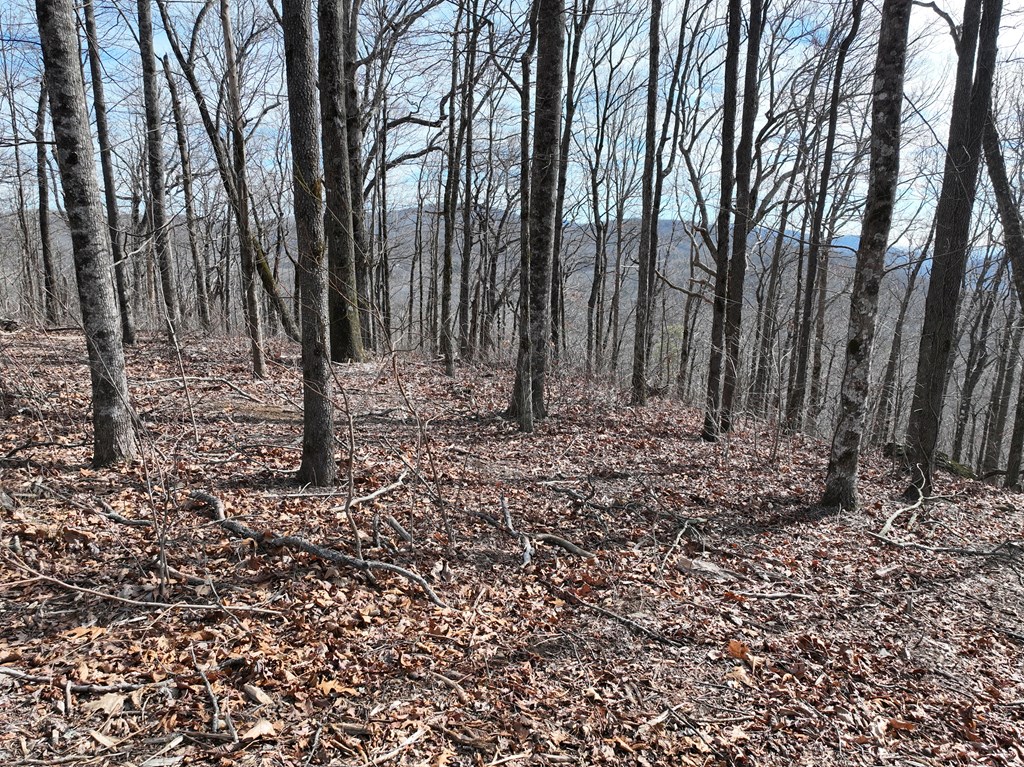 256 Blood Root Trail Property Photo 31