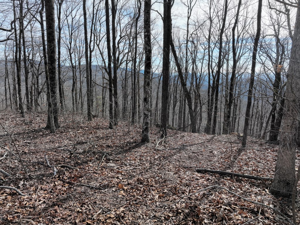 256 Blood Root Trail Property Photo 32